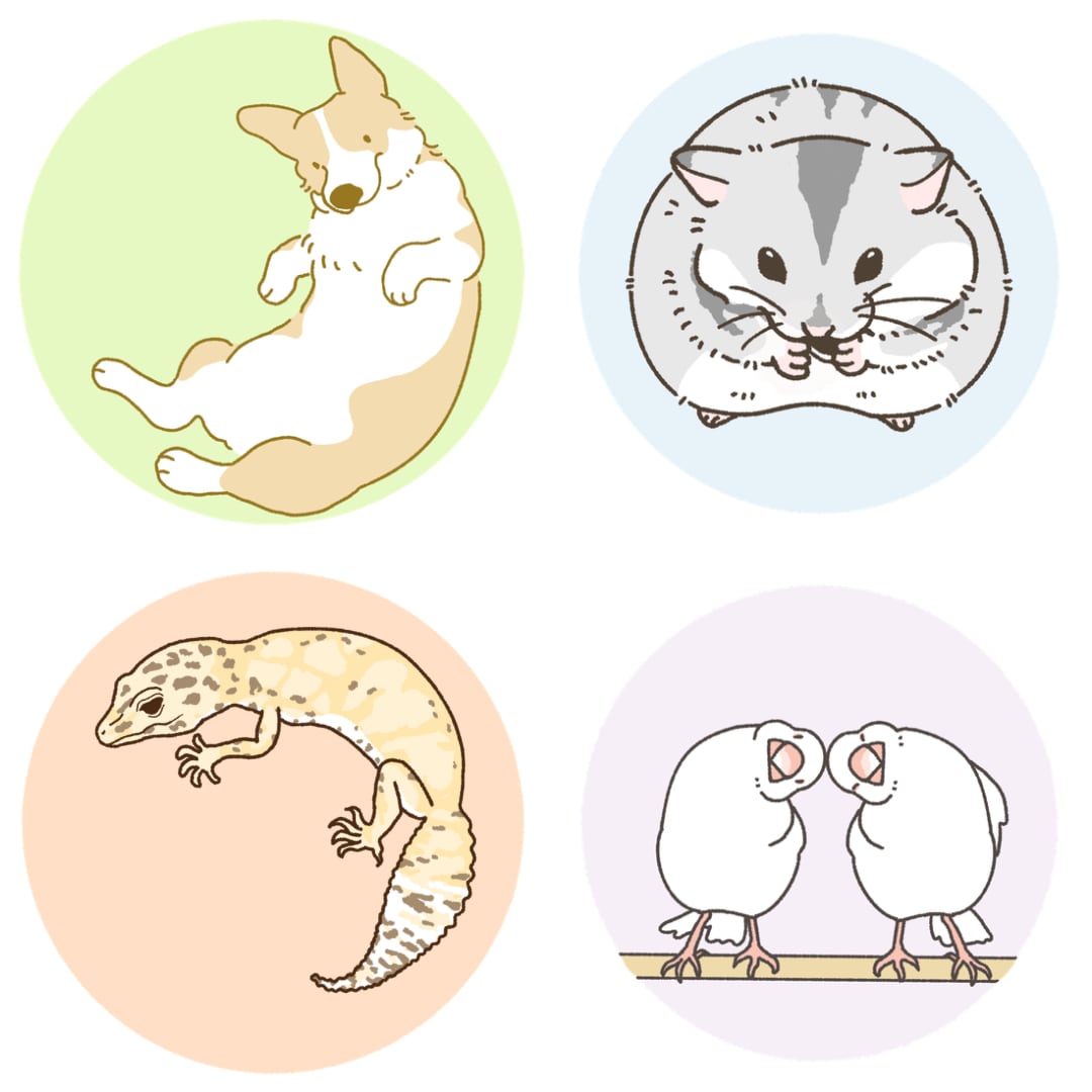 ゆるくてかわいい動物アイコン描きます 全身イラスト・ポーズや表情もご相談いただけます イメージ1
