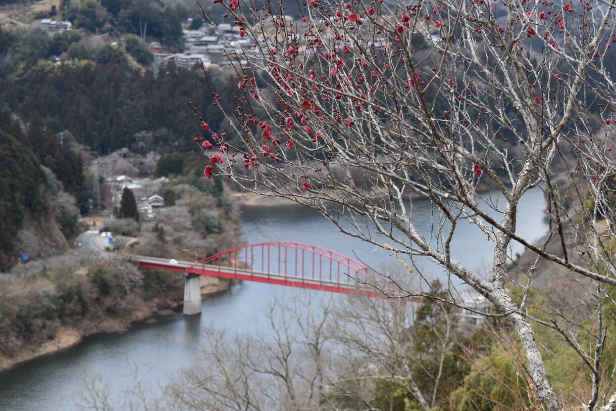 写真素材を提供します 自然派写真を撮影して提供します。 イメージ3
