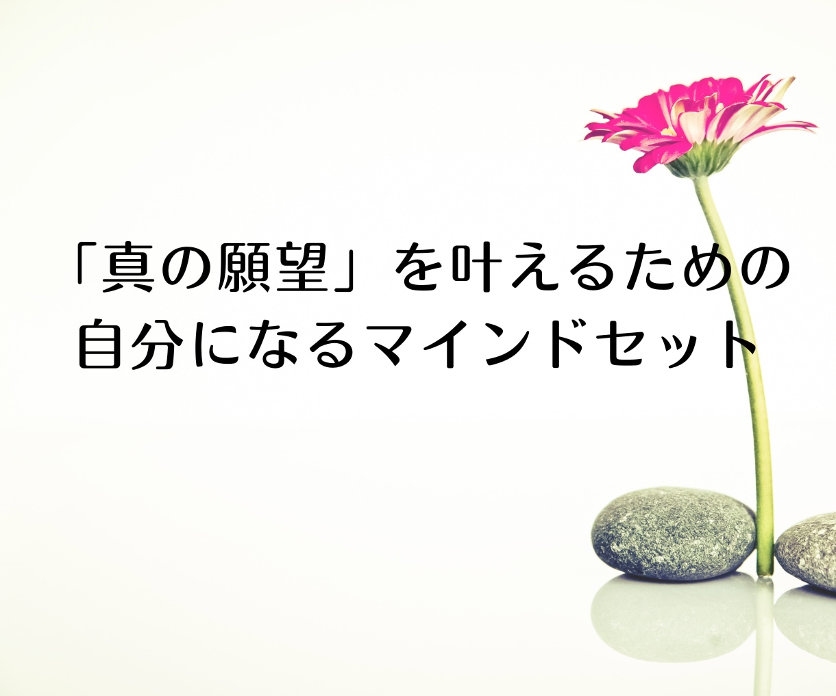 願望実現コーチング【未来創造】を徹底サポートします 人生の土台を徹底サポート「真の願望」叶えるマインドセット構築 イメージ9