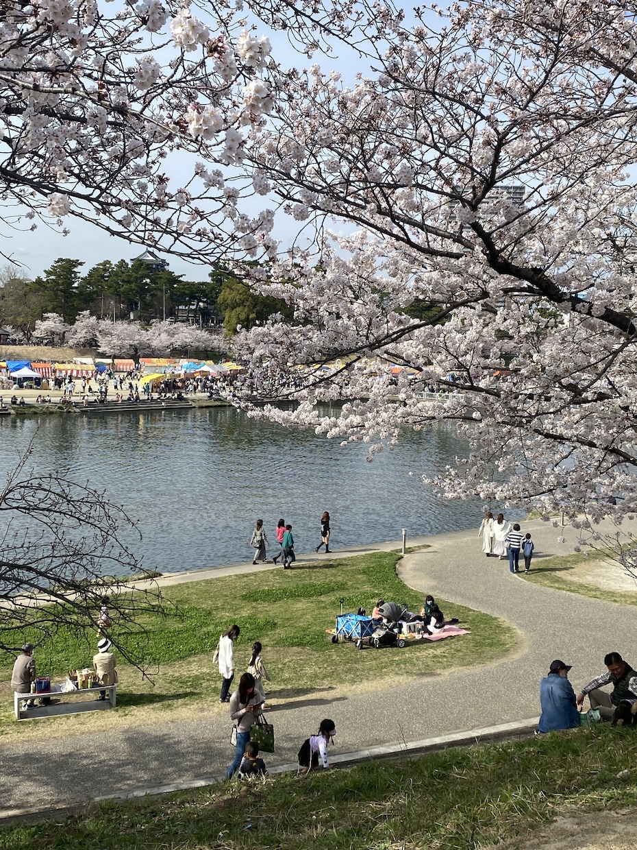 中部地方のおススメ観光地を紹介します 国内旅行業務取扱管理者が過去に旅行したおススメ観光地を紹介 イメージ2