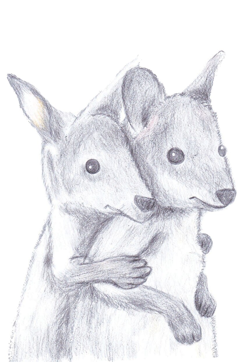 ペットの色鉛筆イラスト作成します 皆様の愛犬・愛猫を可愛らしく色鉛筆でイラスト描きます イメージ3
