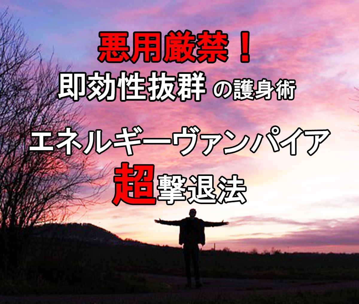 超強力版! 理不尽な人間関係の悩みから解放されます エナジーヴァンパイア護身術であなただけの時間と人生を取り戻す イメージ3
