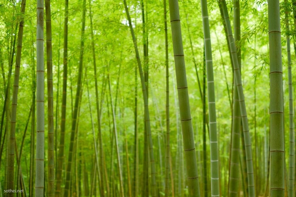 霊を避ける秘訣教えます 霊が寄り付きにくい生活へ向けて イメージ1