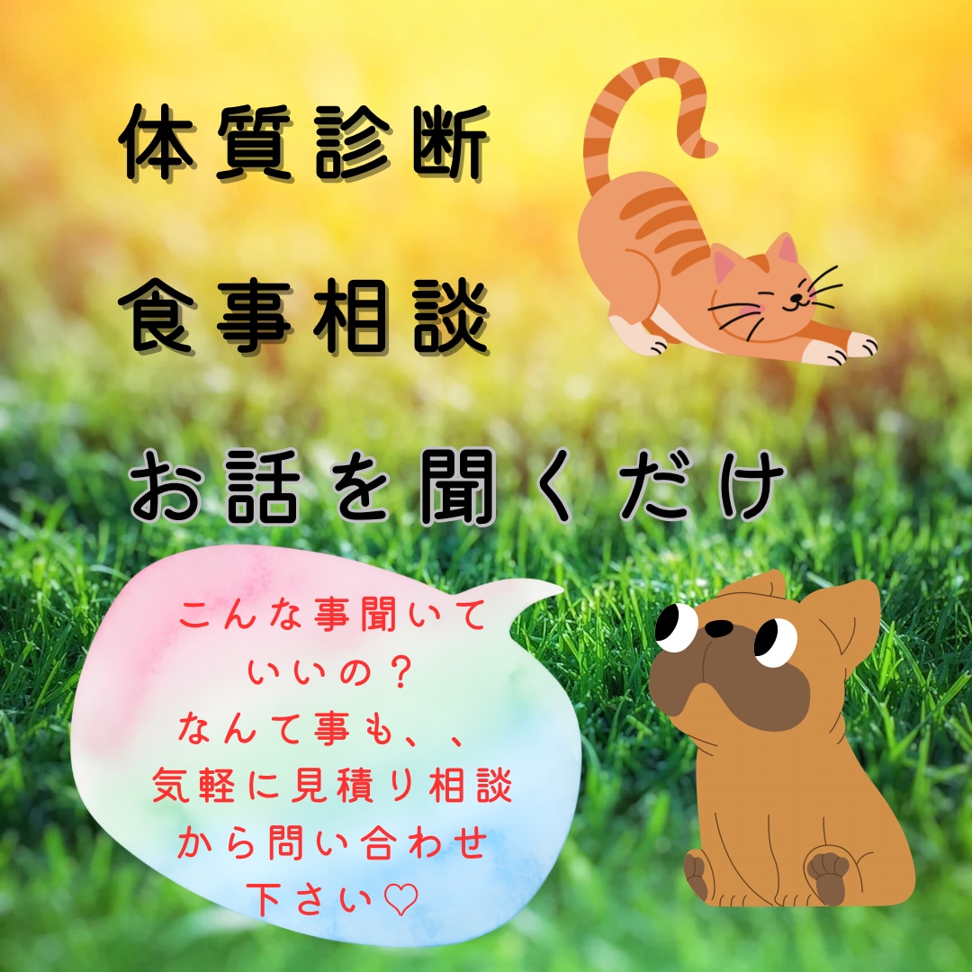 ペット薬膳管理士が相談に乗ります 犬猫さんの体質診断、食事相談、ただ悩み聞いて欲しい！も歓迎。 イメージ1