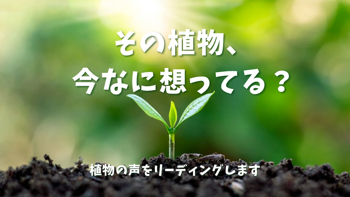 植物からのメッセージをお届けします あなたの大切な植物が感じているあなたへの想い イメージ1
