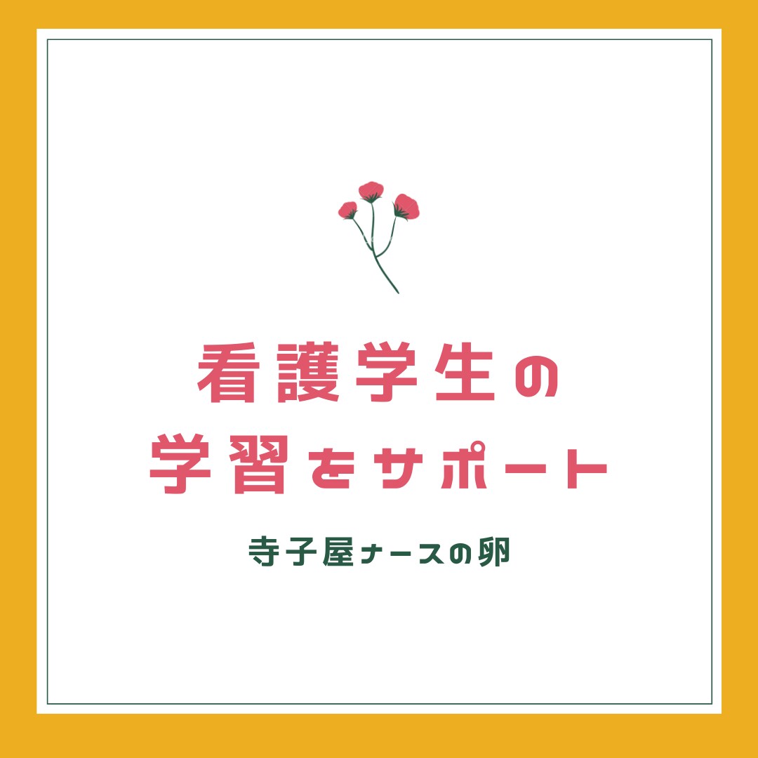 看護学生必見！小児科の授業課題お手伝いします 元看護教員が小児の症状や疾患のアセスメントをお手伝いします イメージ1
