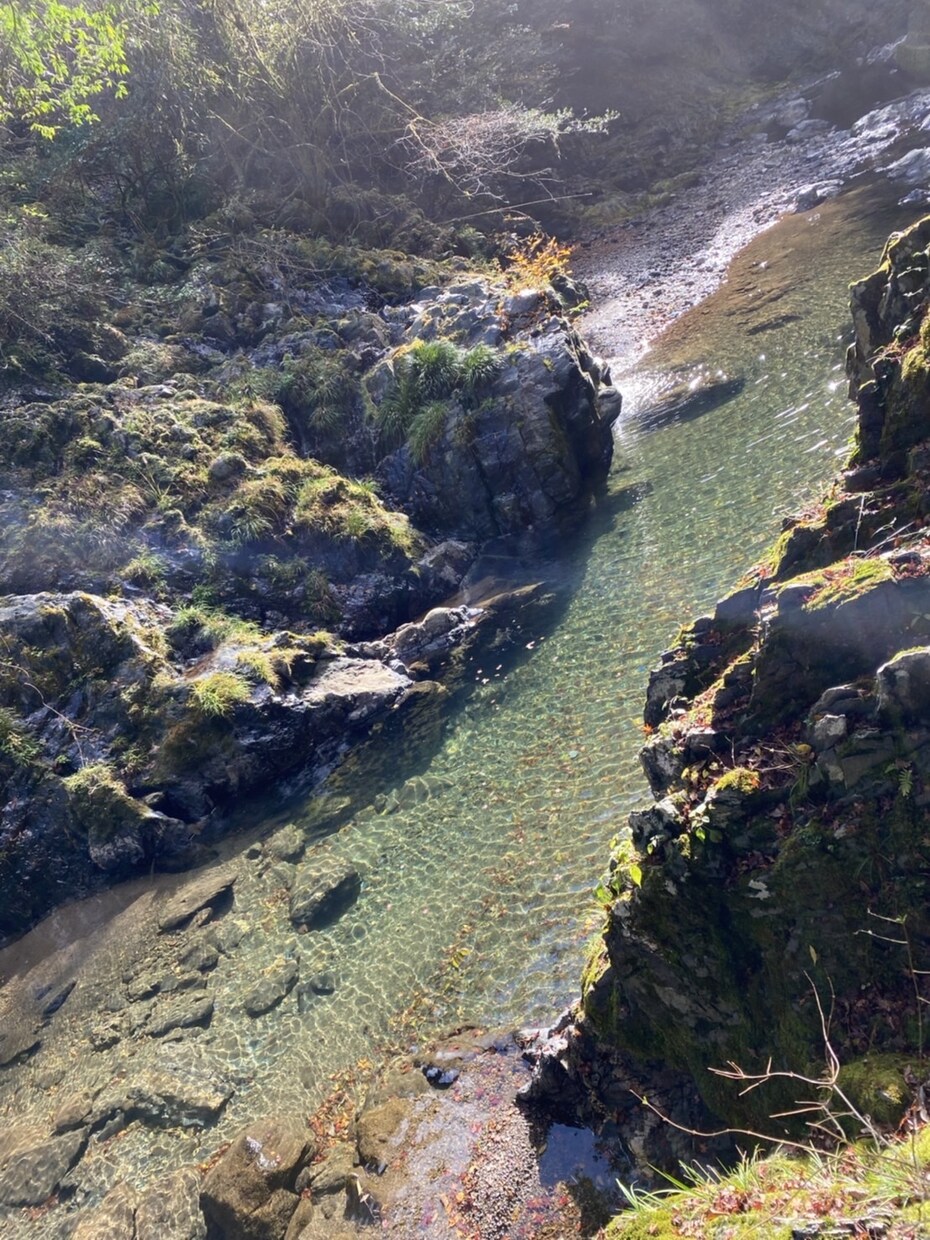風景画や俳句にお役立ち！京都の絶景をお届けします ご希望の季節、天気、時間に合わせた写真/動画をお送りします！ イメージ4