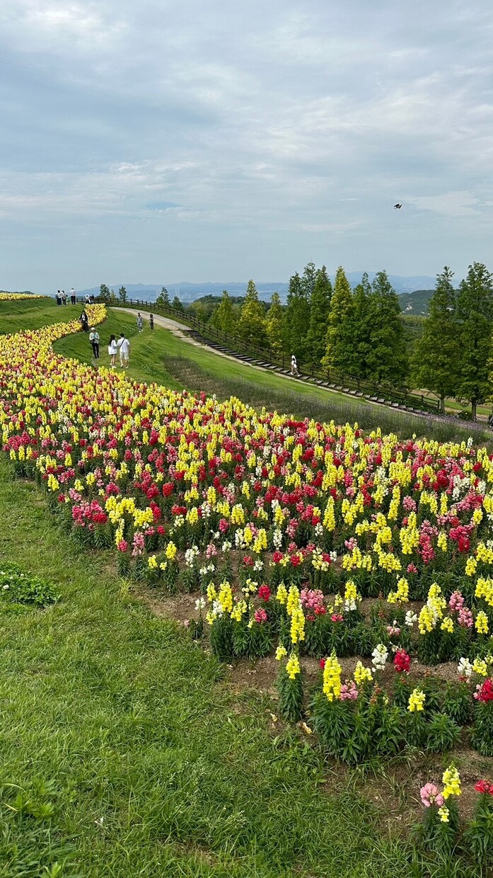 そのモヤモヤ晴らします 1人で悩まず相談してね！貴方の気持ちを晴らします イメージ1