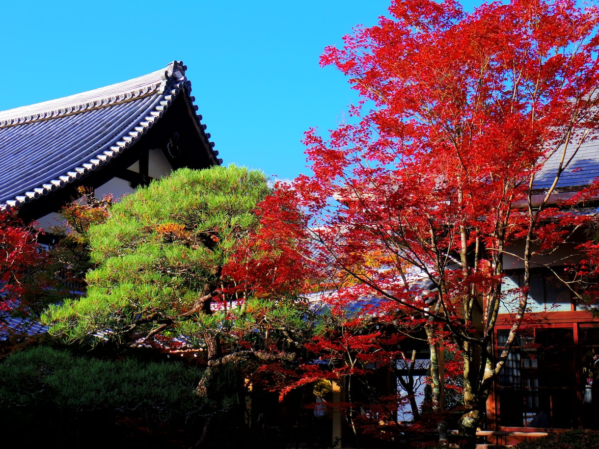 あなただけの京都観光・旅行プランを作成します 京都在住者がプラン作成、PDFで納品します。 イメージ1