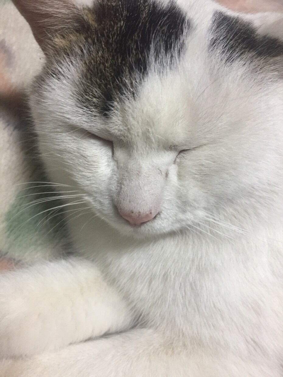 お話聞きます あなたの自慢出来ることや悩み、暇潰しにお話しましょう！ イメージ1