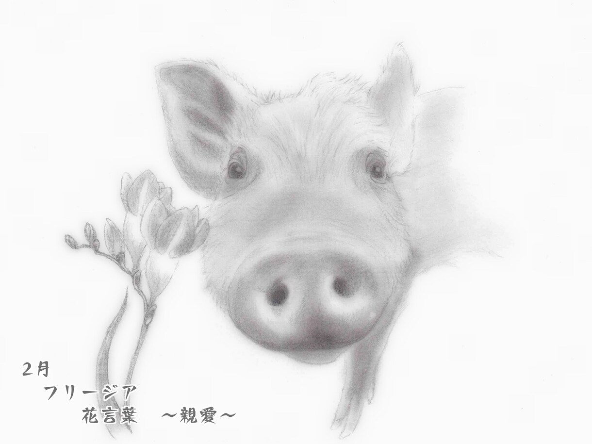 可愛い「ウチの子」を誕生花と共にお描きします 大事なペットのお顔を誕生花を添えて鉛筆画に イメージ3