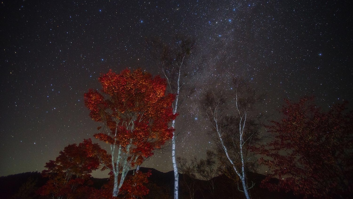 あなただけに！満天の星空絶景スポットをご紹介します 感動の星空に出会える場所をご案内します。 イメージ5