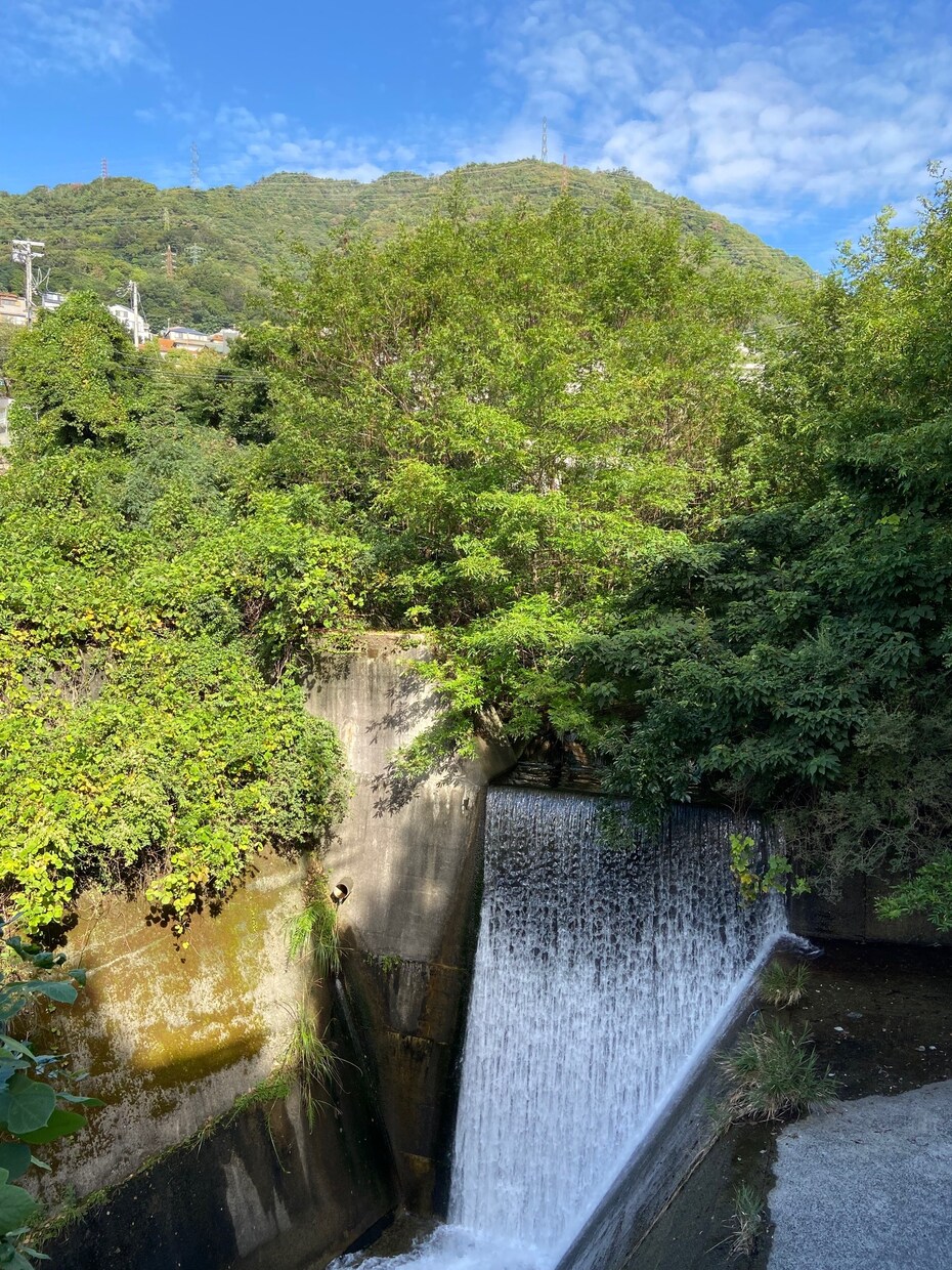 神戸の街や自然、風景を撮影して写真データ送ります イラスト参考、画像素材、現況確認。リクエスト受付20点まで イメージ3
