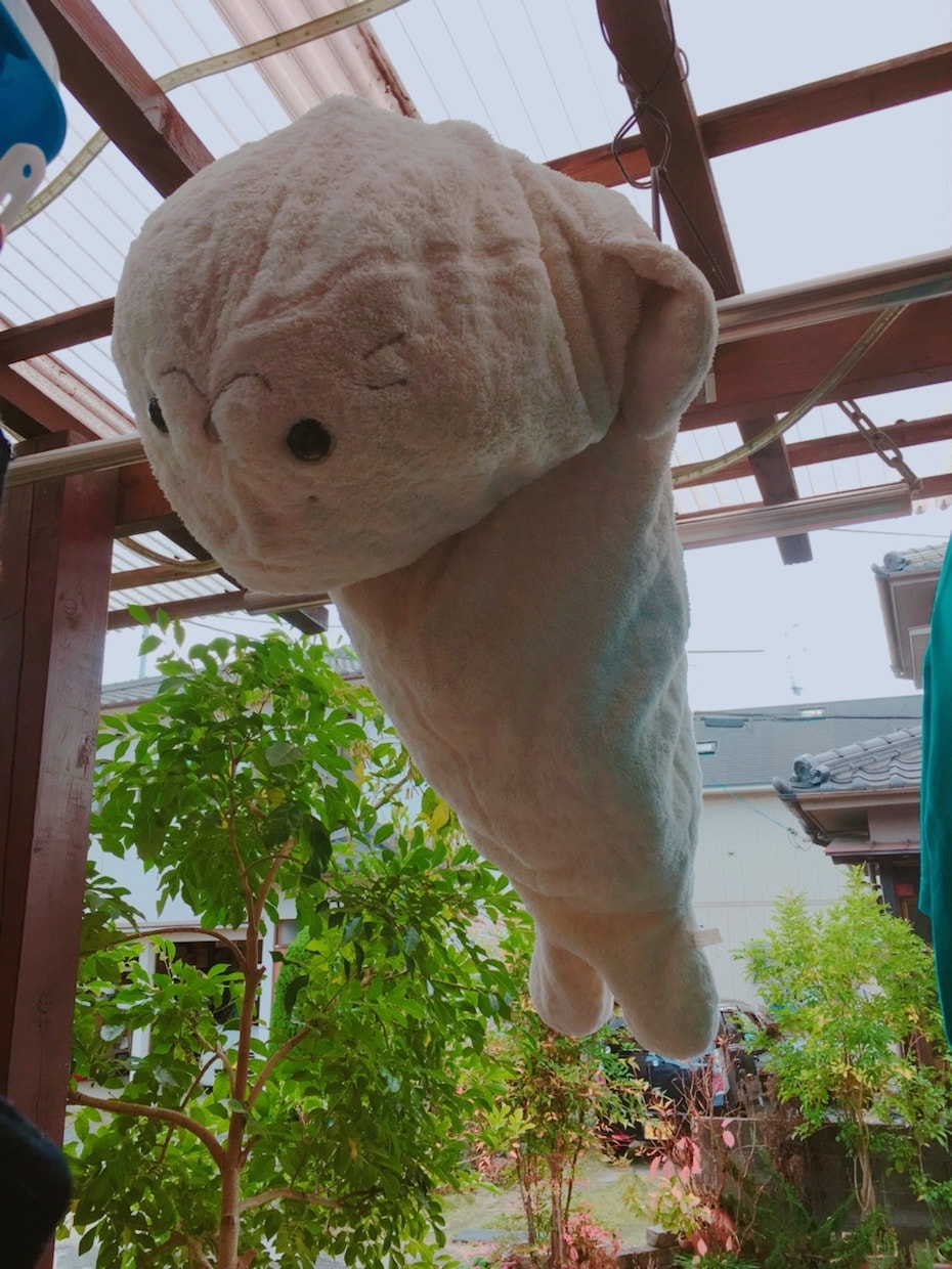 電話カウンセリングをしております 心と身体の深刻な症状に悩まされている方へ イメージ4