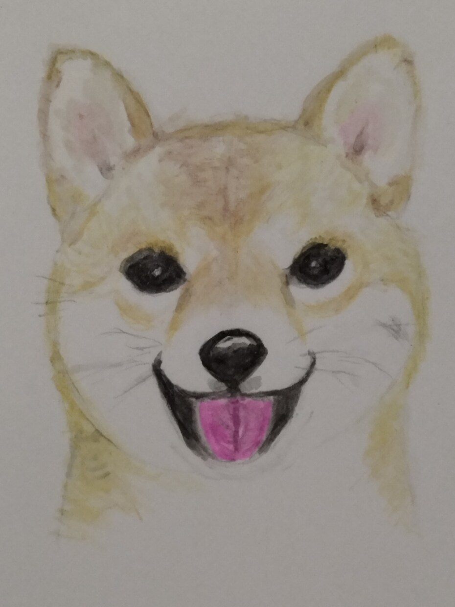 ワンちゃんのイラストを水彩色鉛筆で描きます 一点一点、気持ちを込めて描きます。 イメージ2