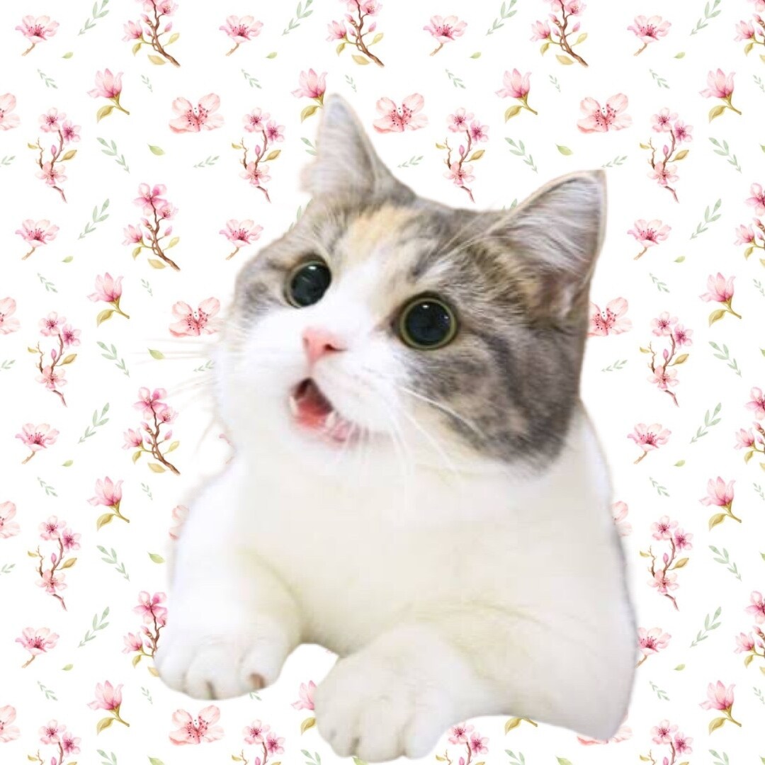 かわいいペットたちの可愛画像作ります いつもの写真が思い出の一枚に！ イメージ8