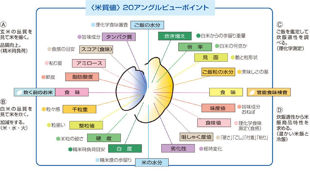 玄米を分析して整粒の%等をだします 整粒の%などから玄米がどのような状態か数字でだします。米検査 イメージ4