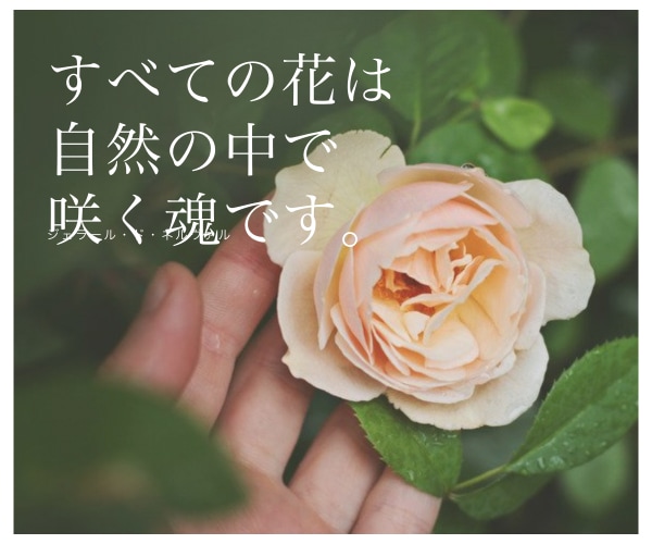 辛い恋愛から素敵な恋愛へ♡タロットで占います 恋愛／片思い／復縁／結婚／彼の気持ち♡ 本音と未来を鑑定 イメージ9