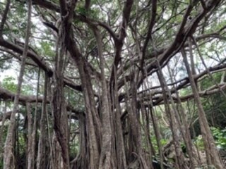 世界にひとつだけ！国内旅行プランを作成します 旅行プランを決めるのは面倒くさい！そんなあなたに特別プラン★ イメージ4