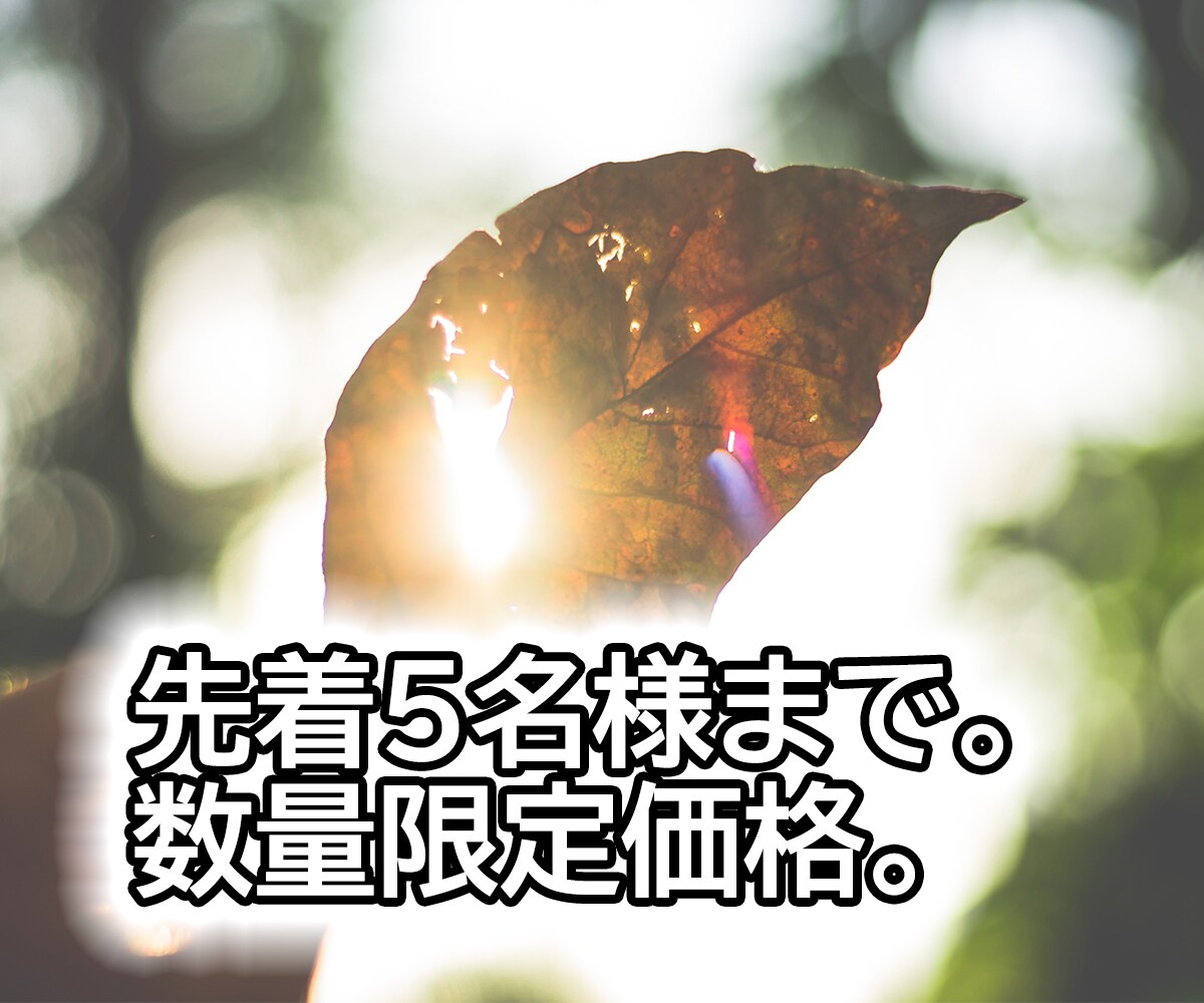 初心者さんへ！30日以内に3件の受注を可能にします 個別対応！各自のスキル/知識/レベルに合わせて丁寧にサポート イメージ3