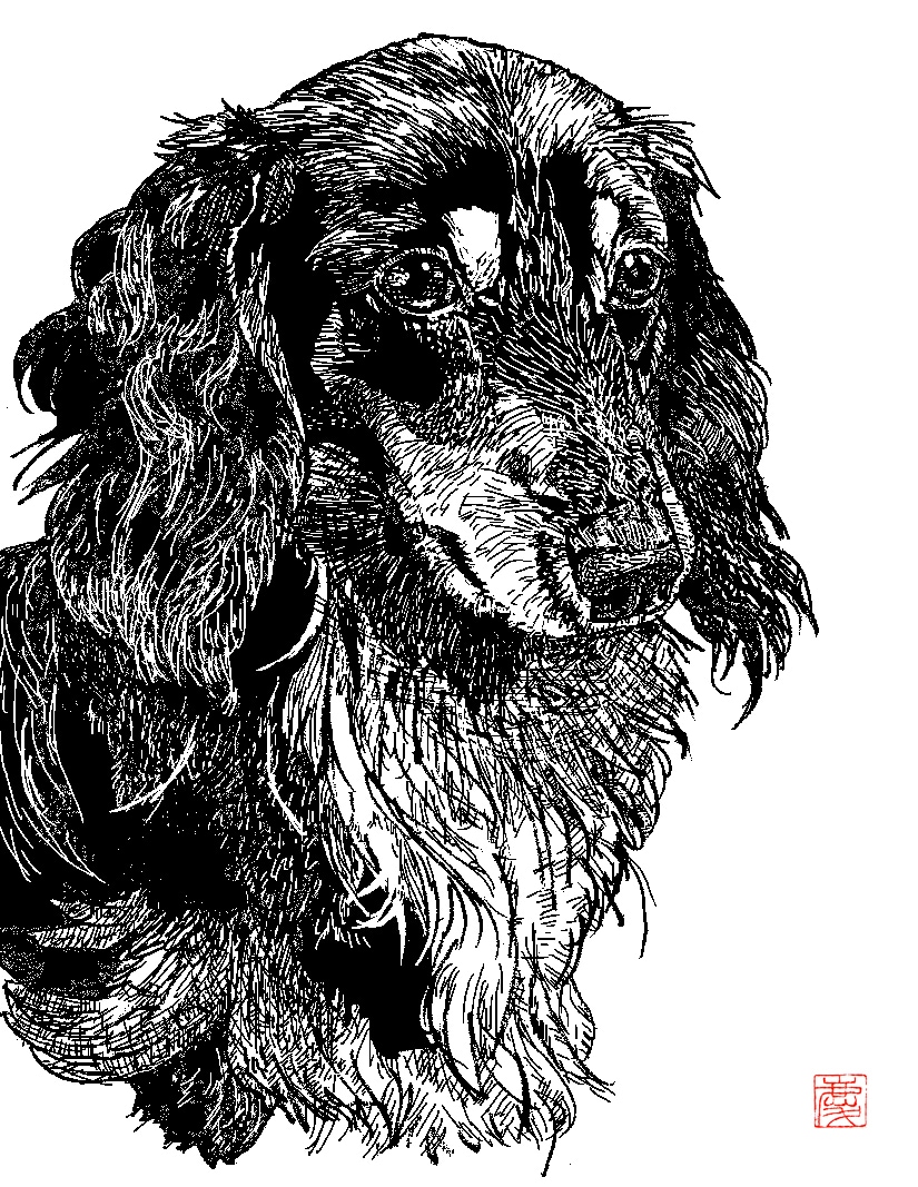 洗練されたモノクロモダンのペット画描きます 愛犬・愛猫の個性を引き立てるリアルなスタイリッシュペット画 イメージ8