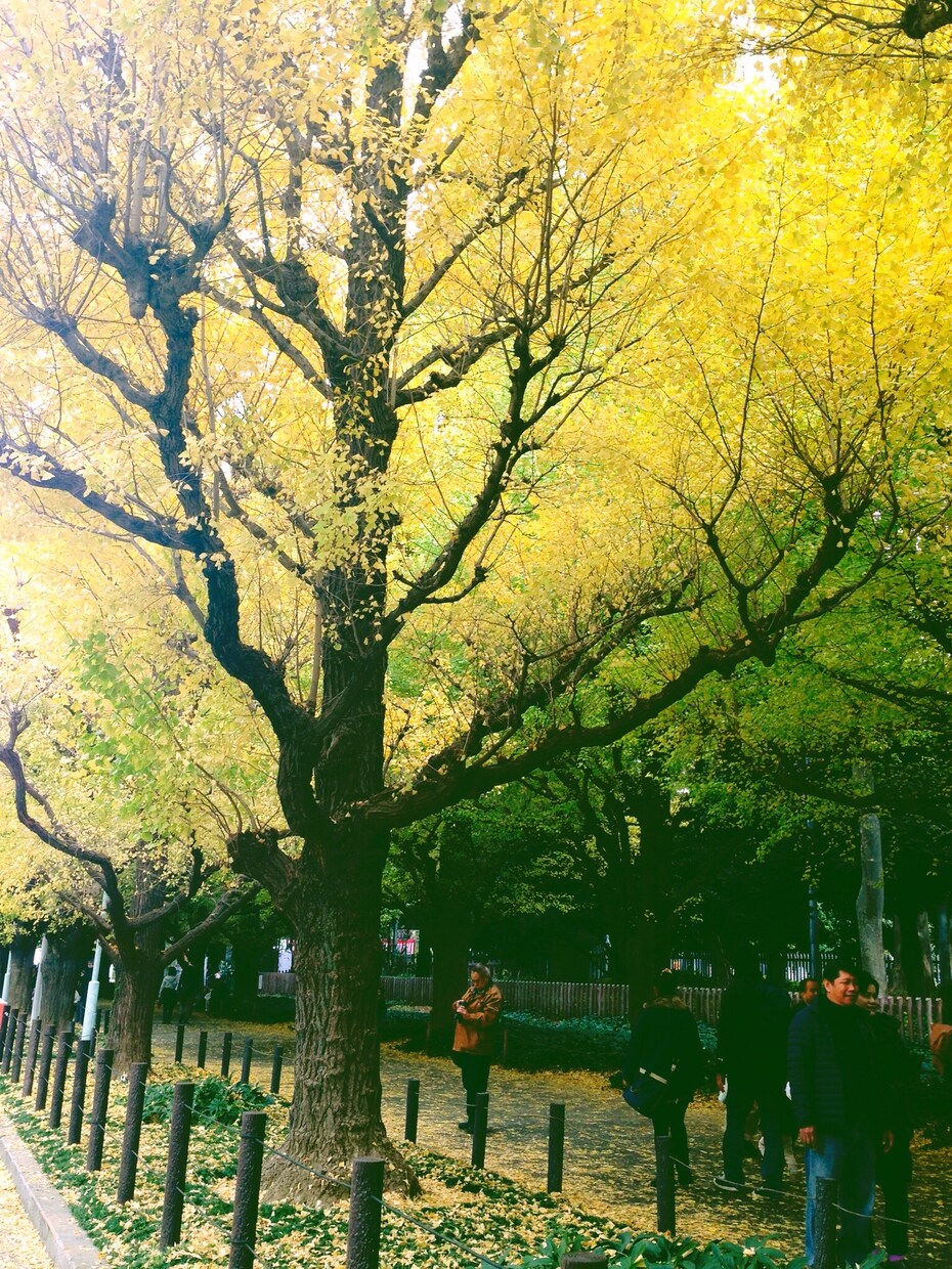 恋を失った女性へ。私にお相手がどんな人だったかを聞かせて下さい。 イメージ1