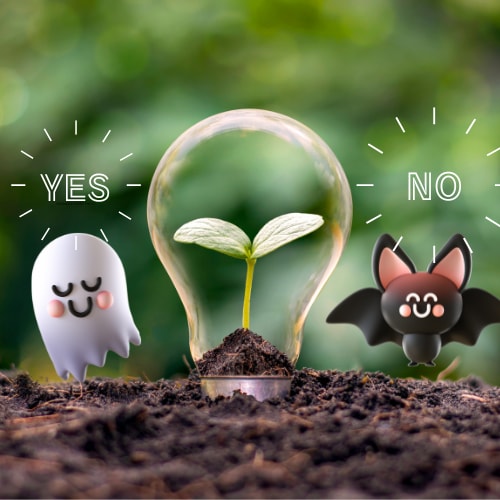 あなたのことYES NOで3問までズバリ聞きます 迷ってることハイヤーセルフにアドバイスをもらいませんか？ イメージ2