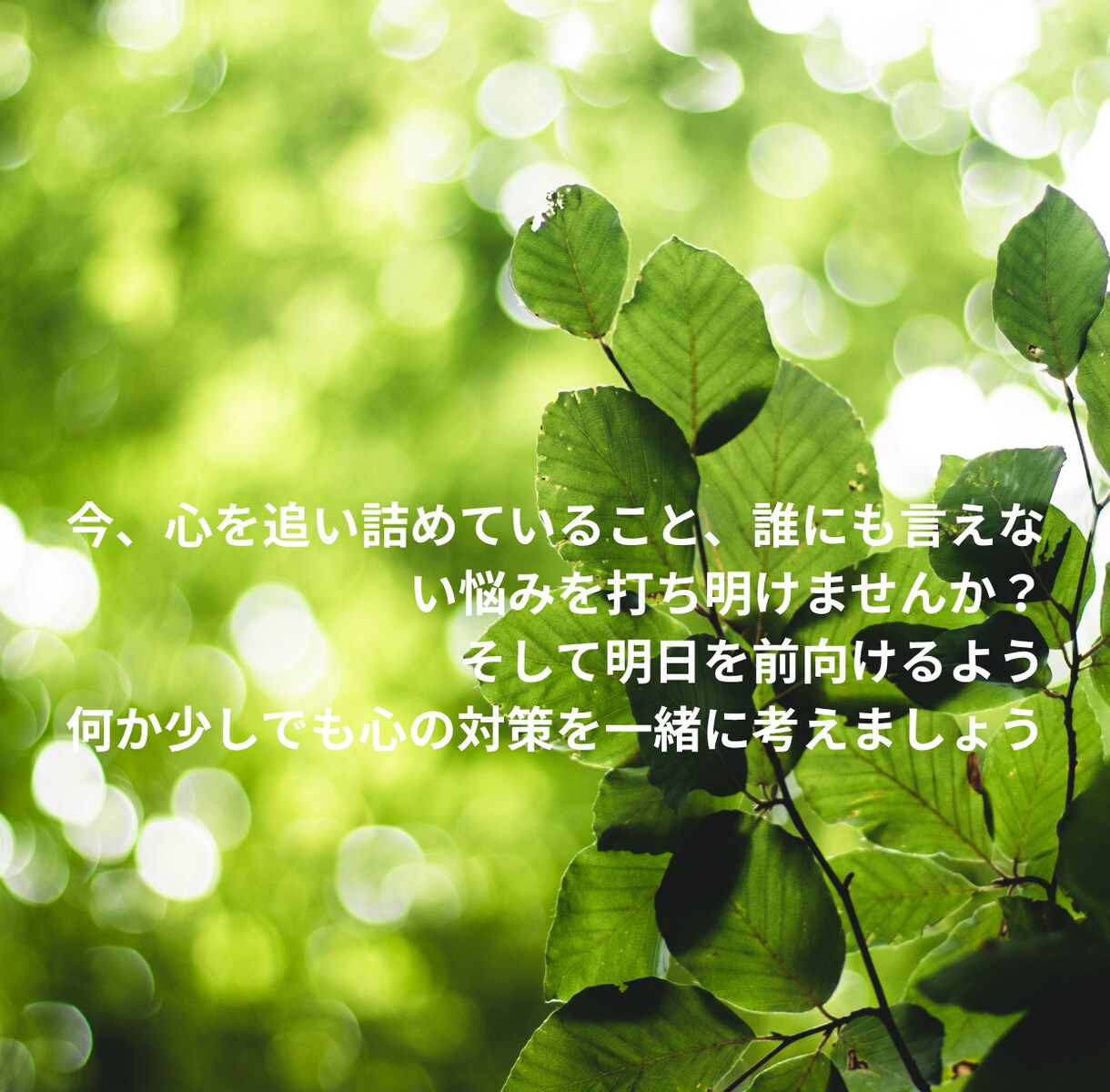 借金・モラハラ・毒親の悩みお聞きします 大丈夫です！ありのままお話しください イメージ2