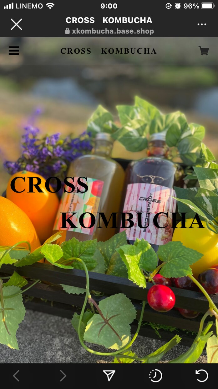 オリジナルのドリンクを製品化サポートします オリジナル清涼飲料水を商材に開業したい人必見です！ イメージ9
