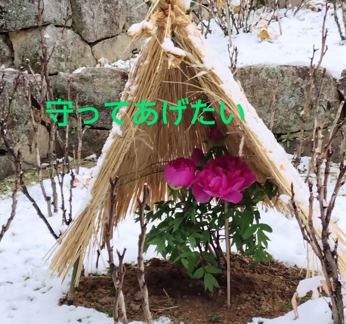 押し潰されそうな気持ち♡まるごと優しく受け止めます 繊細で変化が苦手❣️適応障害/パニック/心配性/執着/依存症 イメージ4