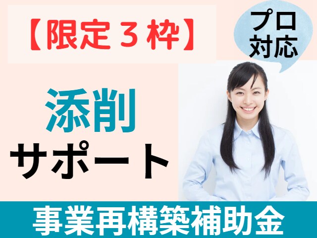 限定３枠∥事業再構築補助金を診断士が【添削】します 中小企業診断士対応／事務局の専門家経験あり／支援実績多数 イメージ1