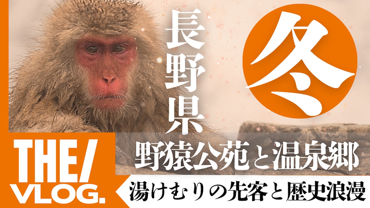 動画編集サポート！サムネイル制作＆動画編集します ゼロベースでも安心！デザイン＆構成の相談から承ります！ イメージ4