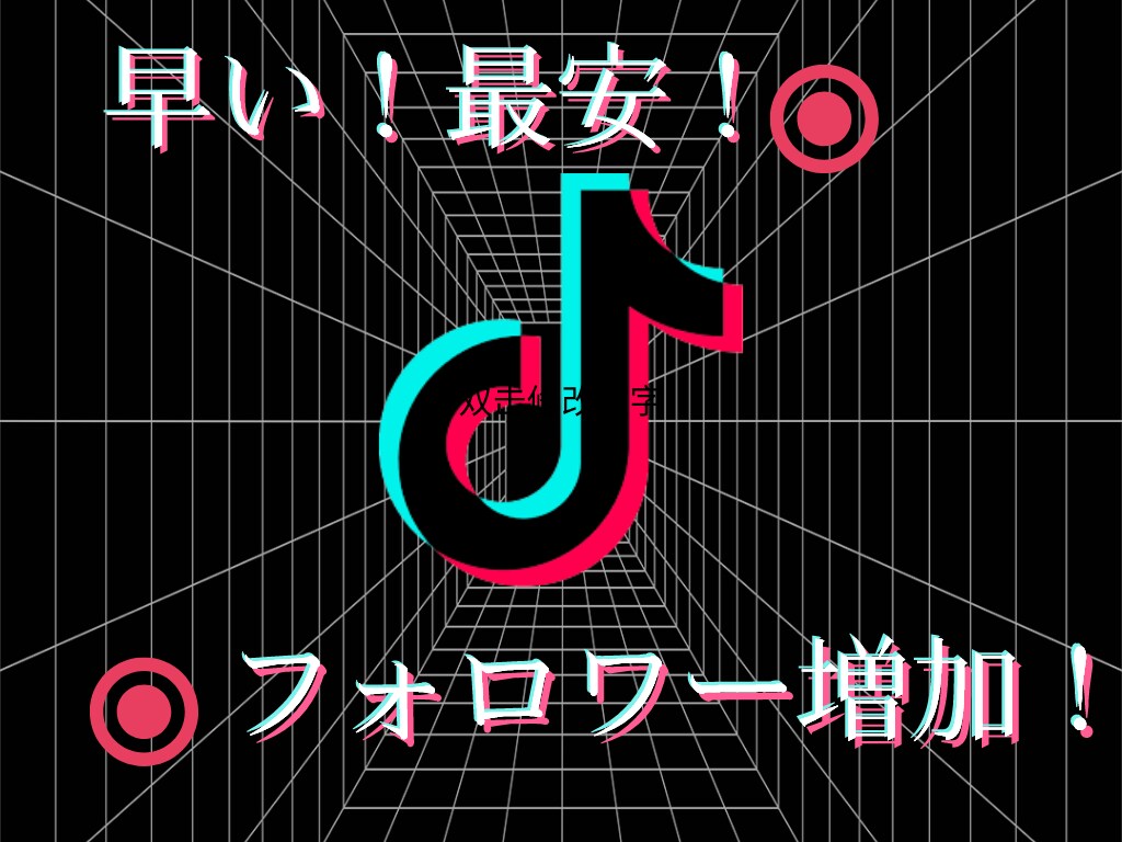 TikTokフォロワー2０００増加させます ココナラ最安！保証付き！日本人ユーザーにOK！ イメージ1