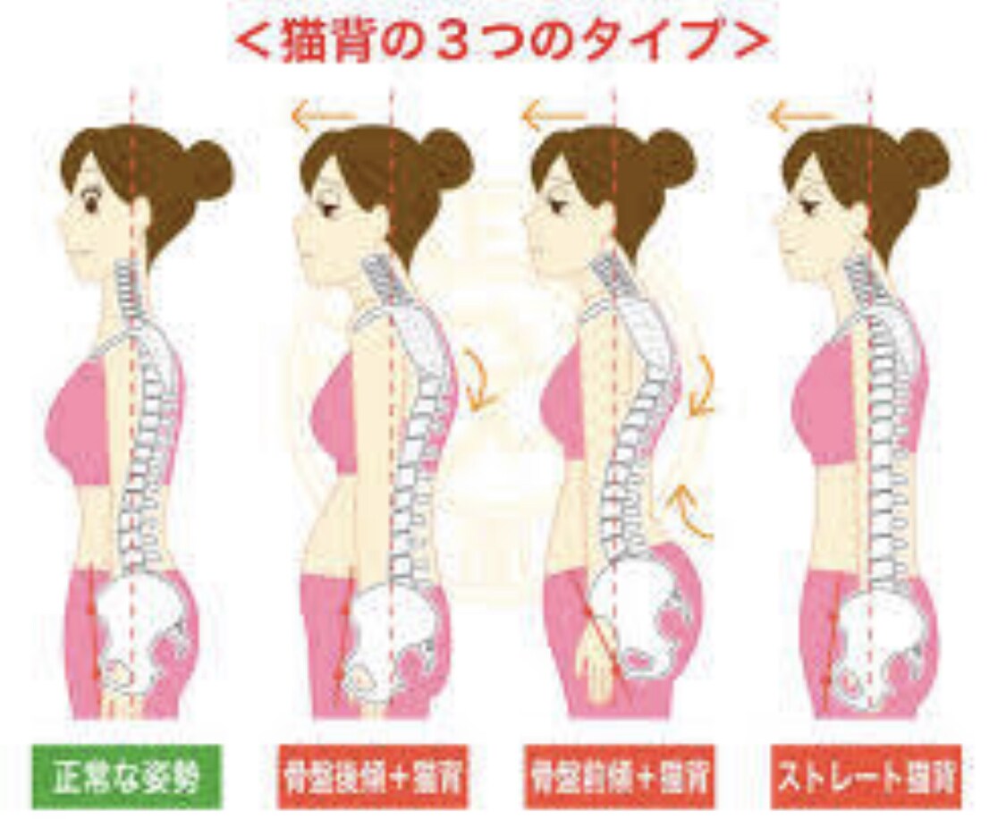 営業や接客の方必見！姿勢改善で第一印象を良くします 腰痛でお困りの方に骨盤矯正行ってきたプロ鍼灸師が教えます。 イメージ4