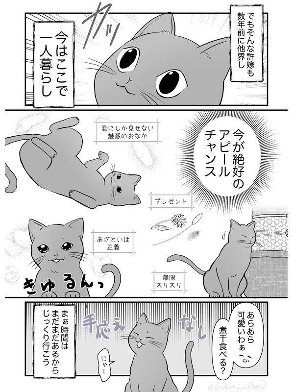 優しい絵柄で、分かりやすく伝わる漫画をお描きします 行政、医療、大手企業など実績豊富！似顔絵対応やシナリオ考案も イメージ8