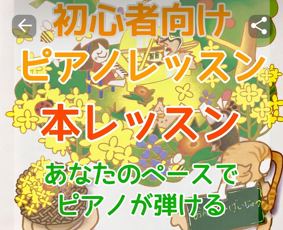 初心者～中級者にピアノオンラインレッスンいたします あなたのペースに合わせて、のんびりゆったりレッスンします。 イメージ1