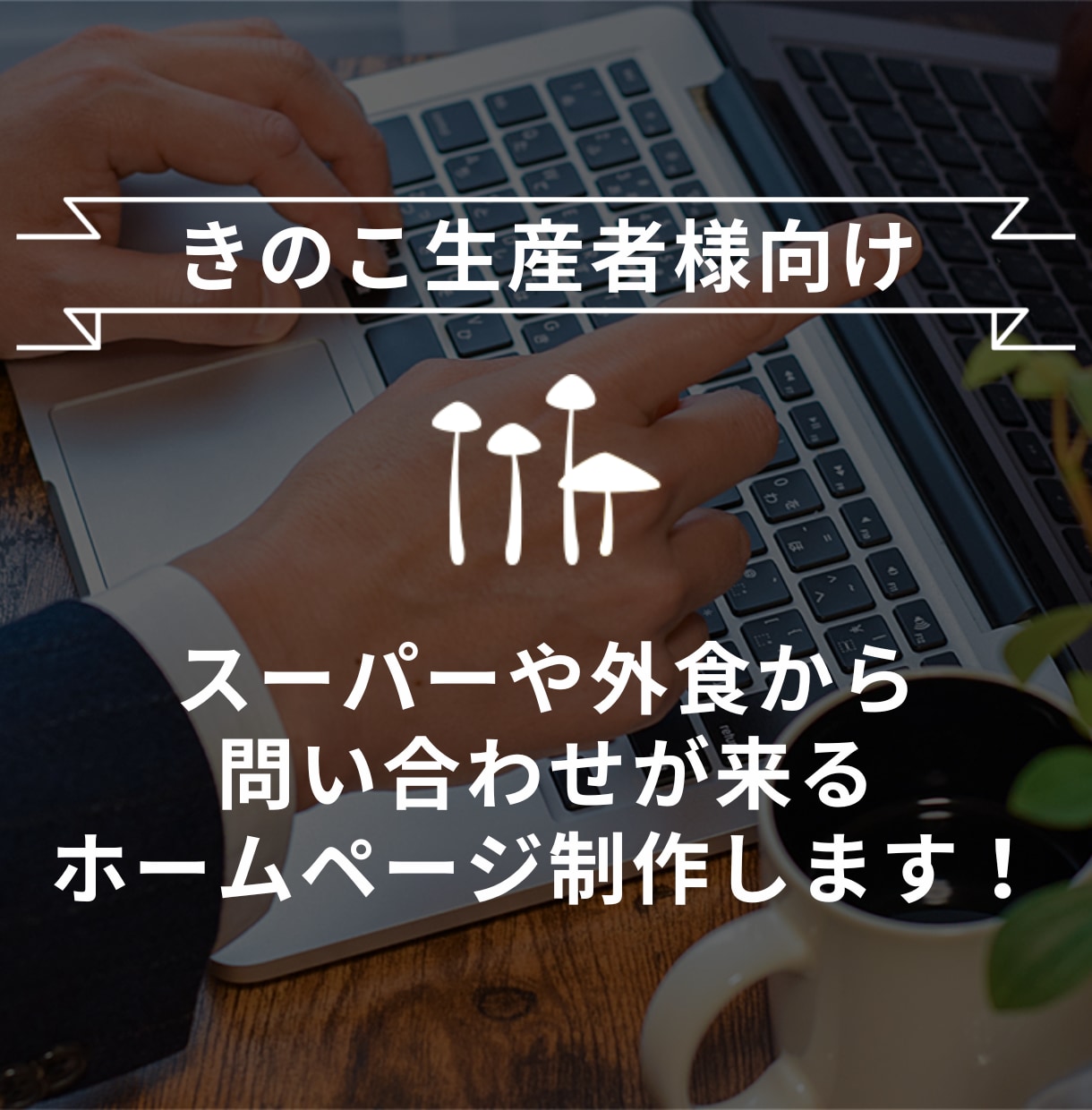 きのこ生産者向け！WEBサイトを作成します 問い合わせ増加とPR強化を支援！SEO対策で御社をサポート イメージ1