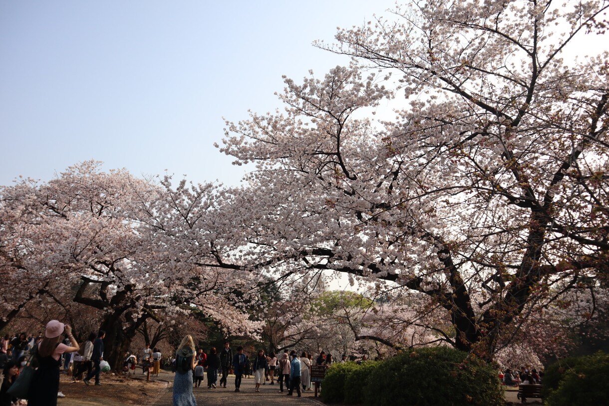 あなたの心に残るフォトをお届けします 自然体を生かし、一枚の写真で人の心を動かす写真家 イメージ8