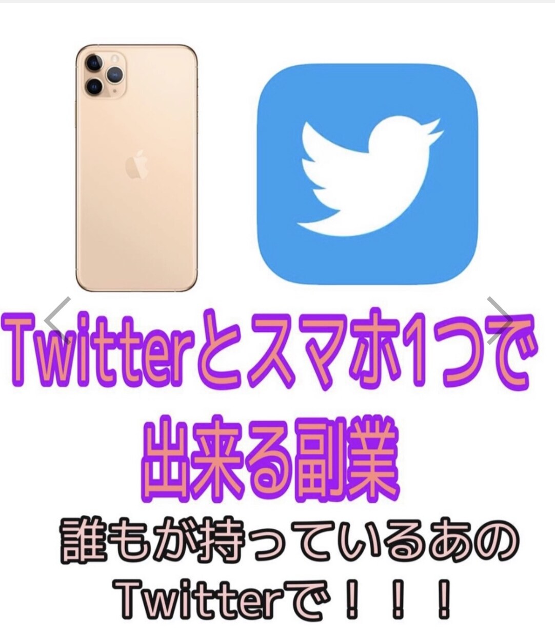 簡単！誰でもTwitterで〇げる副業教えます フォロワー0でも大丈夫！作業時間10分 イメージ1