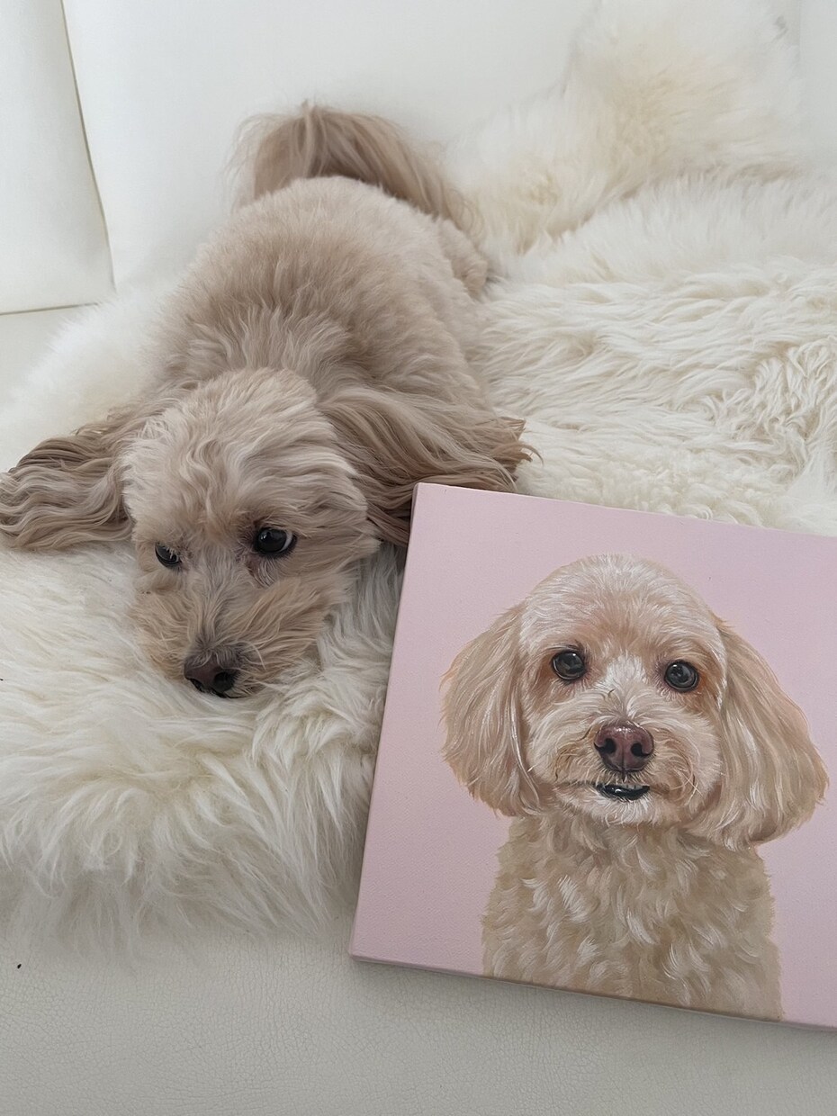 油彩ペット肖像画を制作いたします プロの画家が自信持って制作いたします イメージ3