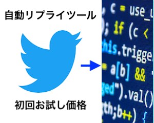 初回限定！Twitter集客ツールを提供します Twitter運用を自動化しませんか？※30日間お試し価格 イメージ1