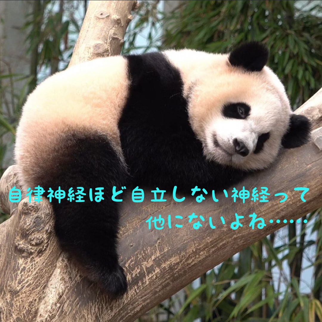 なんとなく眠れない…そんな夜にお話しお聞きします ちょっとした愚痴～真面目な相談までオールOK! イメージ8