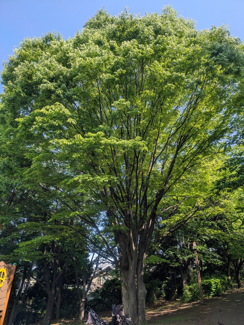 あなたに伝えたいことばがあります 母親の役割に囚われていませんか？あなたの悩みに寄り添います イメージ5