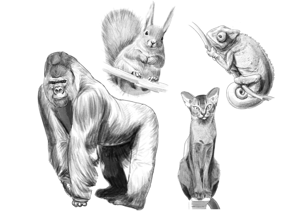 最短当日納品！写真を元に手頃な似顔絵を描きます 他には無い！…かも？手頃な値段であなただけの1枚を❁*.ﾟ イメージ3