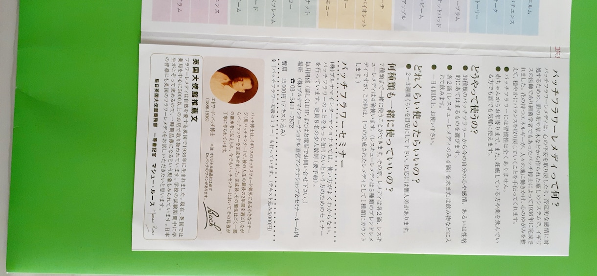 心を癒すバッチフラワーレメディの種類をお伝えします 心のバランスを取る花の療法バッチフラワーのお花をお伝えします イメージ2