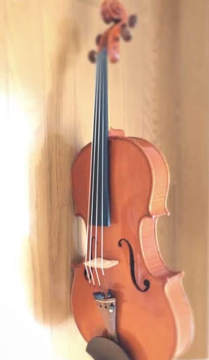 ヴィオラ、バイオリンを簡単に教えます 趣味程度でも構いません！音楽が好きだってだけでも大丈夫です！ イメージ1