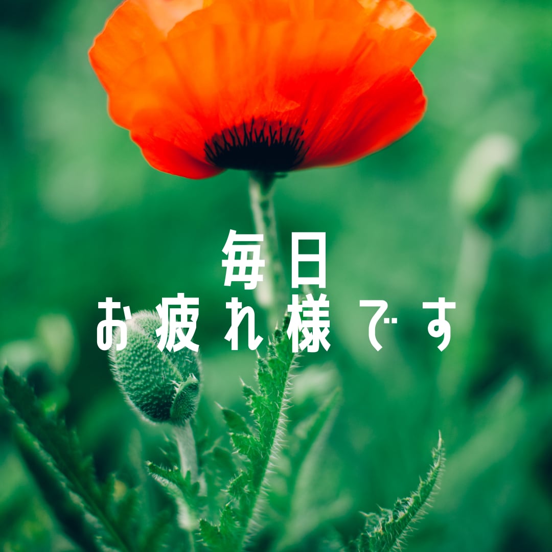 20～40代働くママの仕事・キャリアの悩み伺います 人事、キャリコン、そして同じ働くママとしてご相談に乗ります！ イメージ2