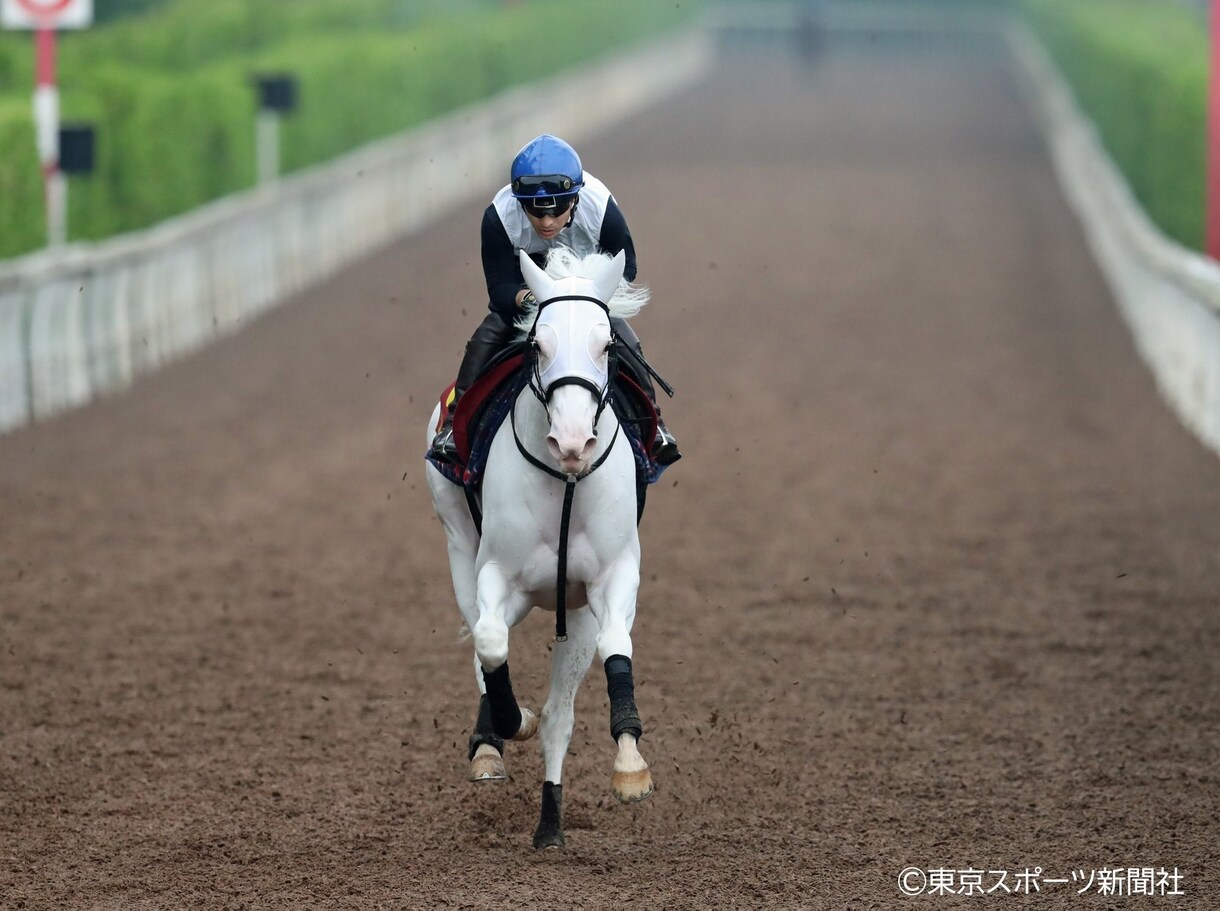 競馬を予想しています 競馬ファンを増やして、うまズキも増やそう！ イメージ1