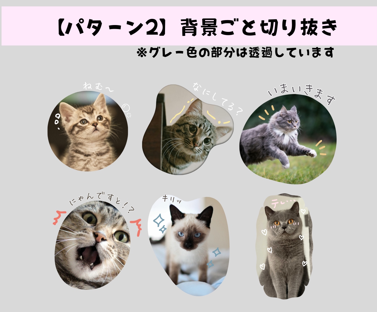 ペットの写真からオリジナルLINEスタンプ作ります 愛するペットの日常をスタンプで残しませんか？ イメージ3