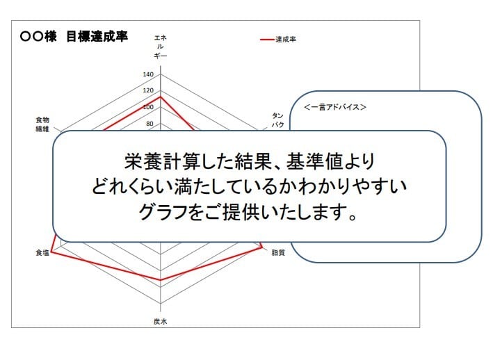管理栄養士が栄養価計算し、アドバイスします 普段の食事は大丈夫？？食事の栄養価を数値グラフ化します！ イメージ2